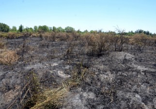 quemaPastizales